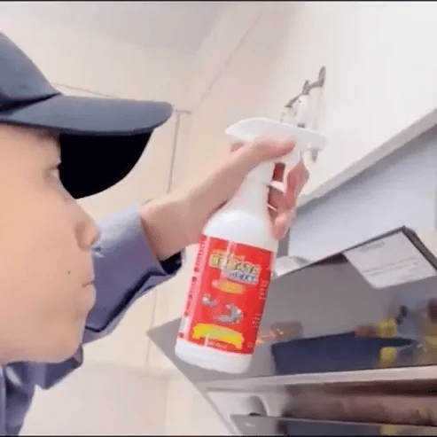 Spray Pest Anti-Dăunători
